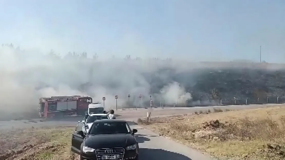 Az Kalsın Gençlerin Torpil Oyunu Ormanı Yakacaktı