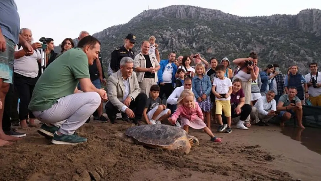 100. Yılda 10 Caretta Caretta Özgürlüğüne Kavuştu