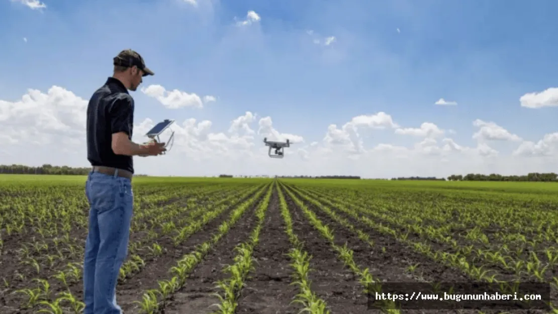 Agrotech halka arz ne zaman? Agrotech hangi bankalarda var, 1 lot kaç TL, kaç lot verir?