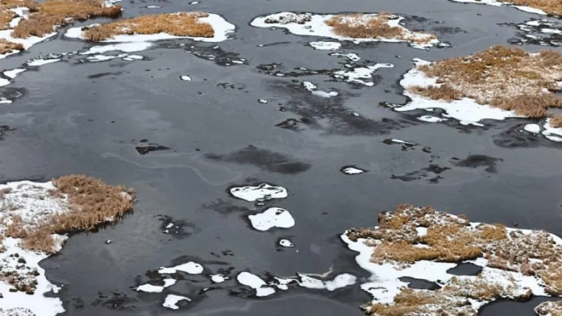 Kars'ta Yüksek Rakımlı Çalı Gölü Buz Tuttu