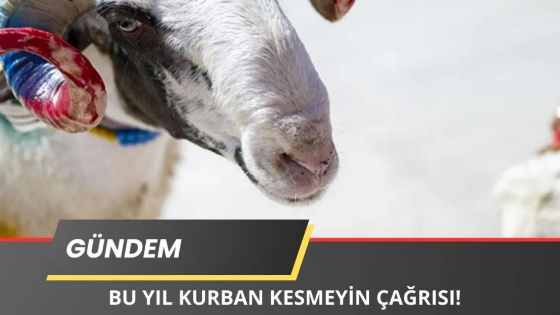 'Bu Yıl Kurban Kesmeyin' Çağrısı Yapıldı!