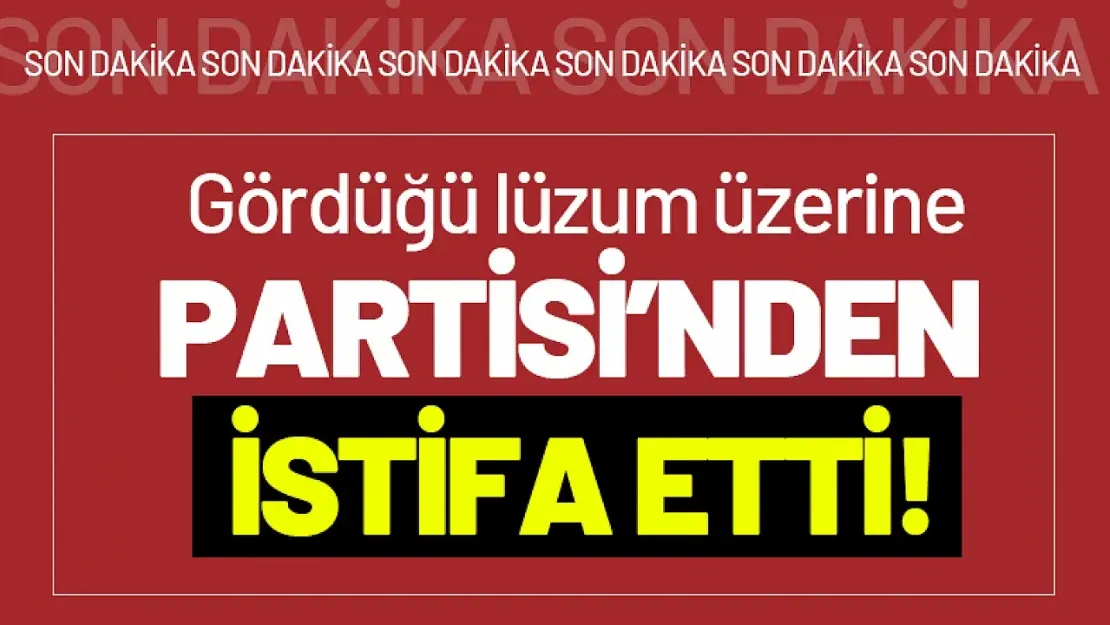 Gelecek Partisi Kurucusu Serap Yazıcı Özbudun İstifa Etti