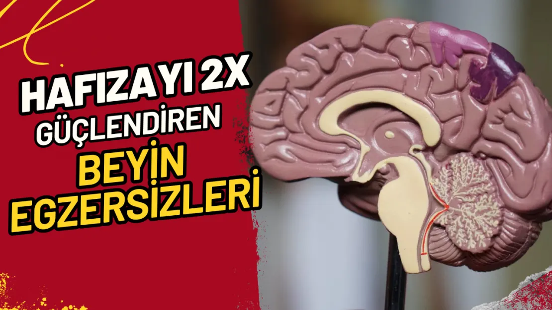 Hafızayı 2X Güçlendiren Beyin Egzersizleri