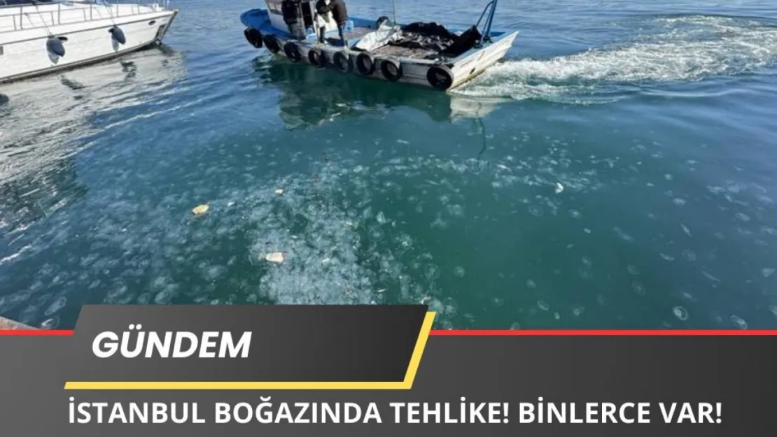 İstanbul Boğazında Tehlike Alarmı! Binlerce Var!