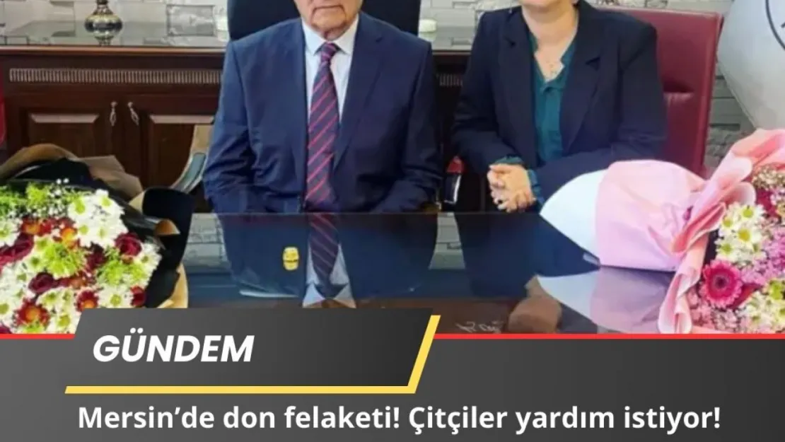 Kağızman Belediyesi'ne Kayyum Atandı: DEM Parti'den Sert Tepki!