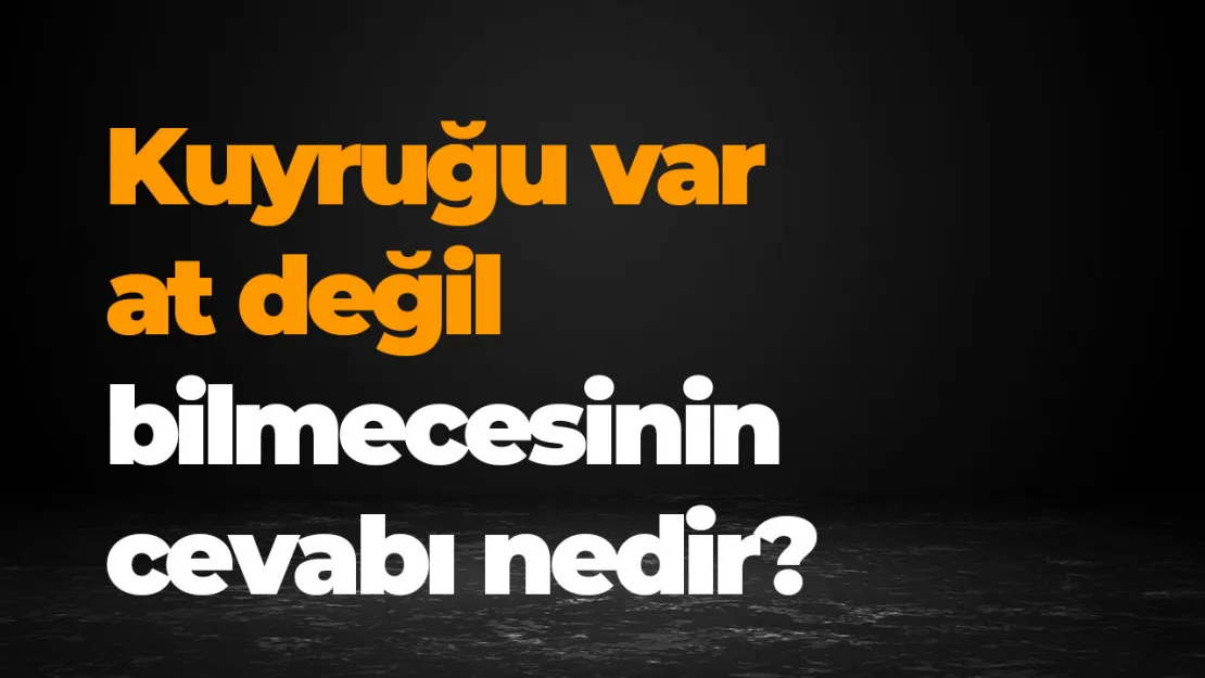 Kuyruğu var at değil bilmecesinin cevabı nedir? İşte yanıtı!