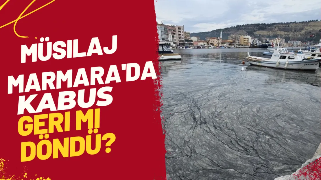 Müsilaj Marmara'da Kabus Geri mi Döndü?