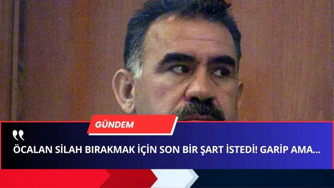 Öcalan'dan Tarihi Çağrı Ama Son Anda Bir ŞART ÇIKTI! 'Silah Bırakmadan Önce...'