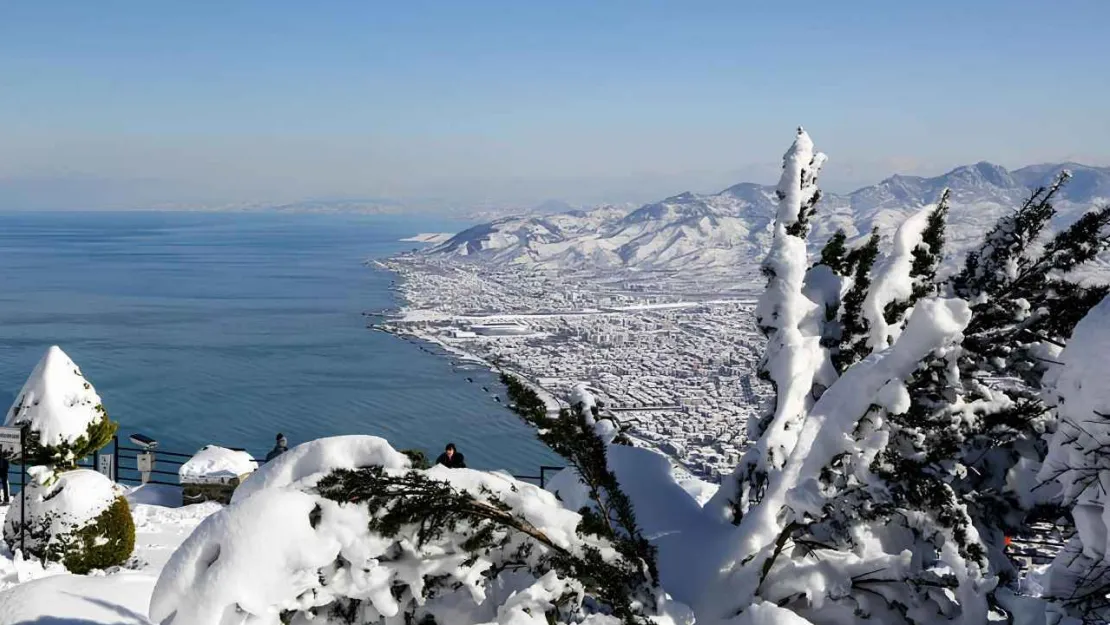 'Ordu'da Karlı Yokuşta Kayan Genç, Ağaca Çarparak Yaralandı'