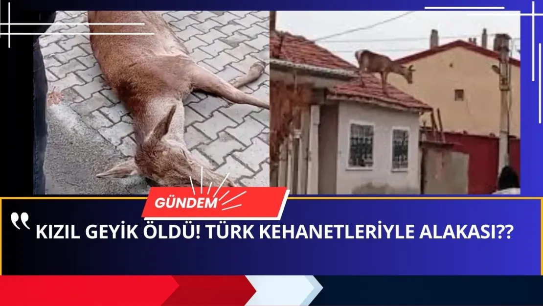 Son Kızıl Geyik De ÖLDÜ! Türk Kehanetleri GERÇEKLEŞİYOR MU? İşte detaylar...