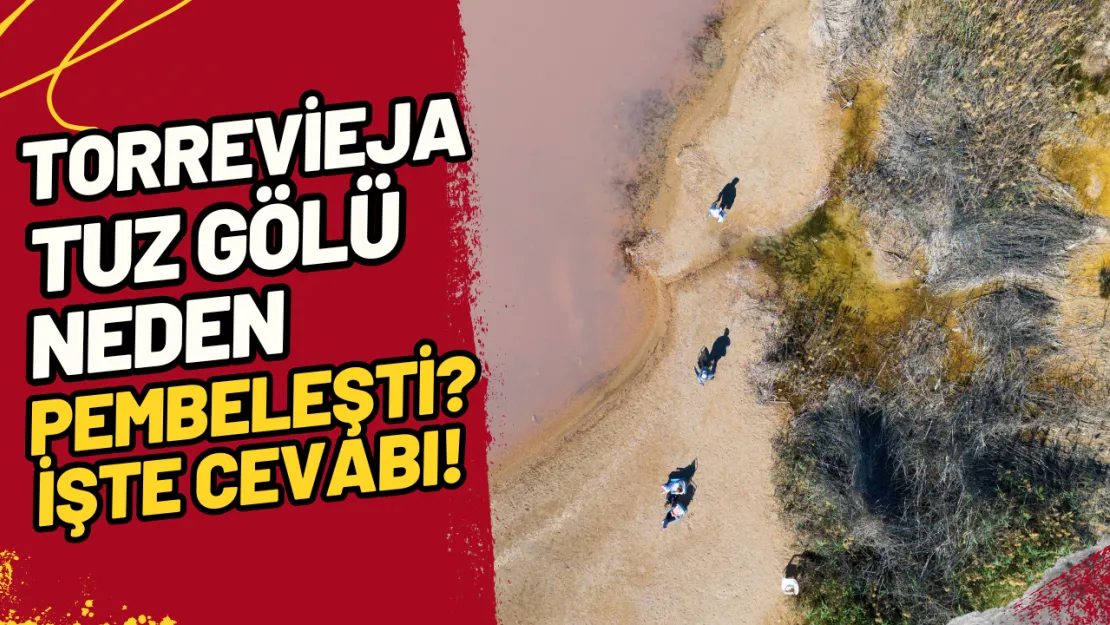 Torrevieja Tuz Gölü Neden Pembeleşti? İşte Cevabı!