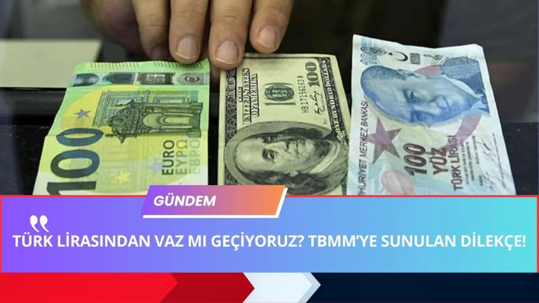 TÜRK LİRASINDAN Vaz GEÇİLEBİLİR! TBMM'ye Resmi Para Birimi İçin Dolar ve Euro BAŞVURUSU!