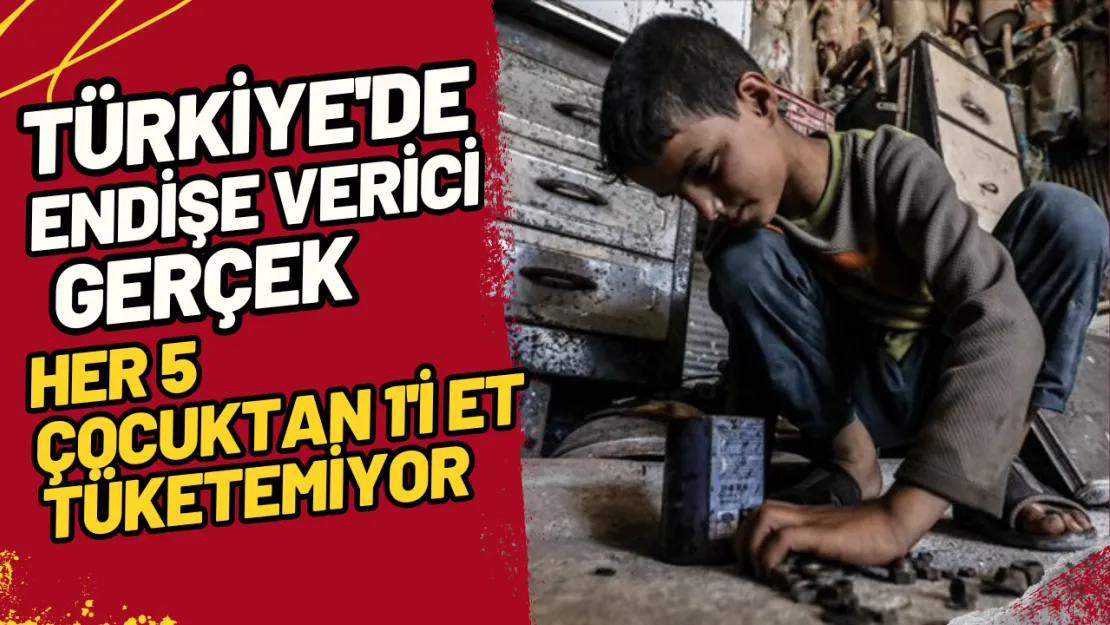 Türkiye'de Endişe Verici Gerçek Her 5 Çocuktan 1'i Et Tüketemiyor