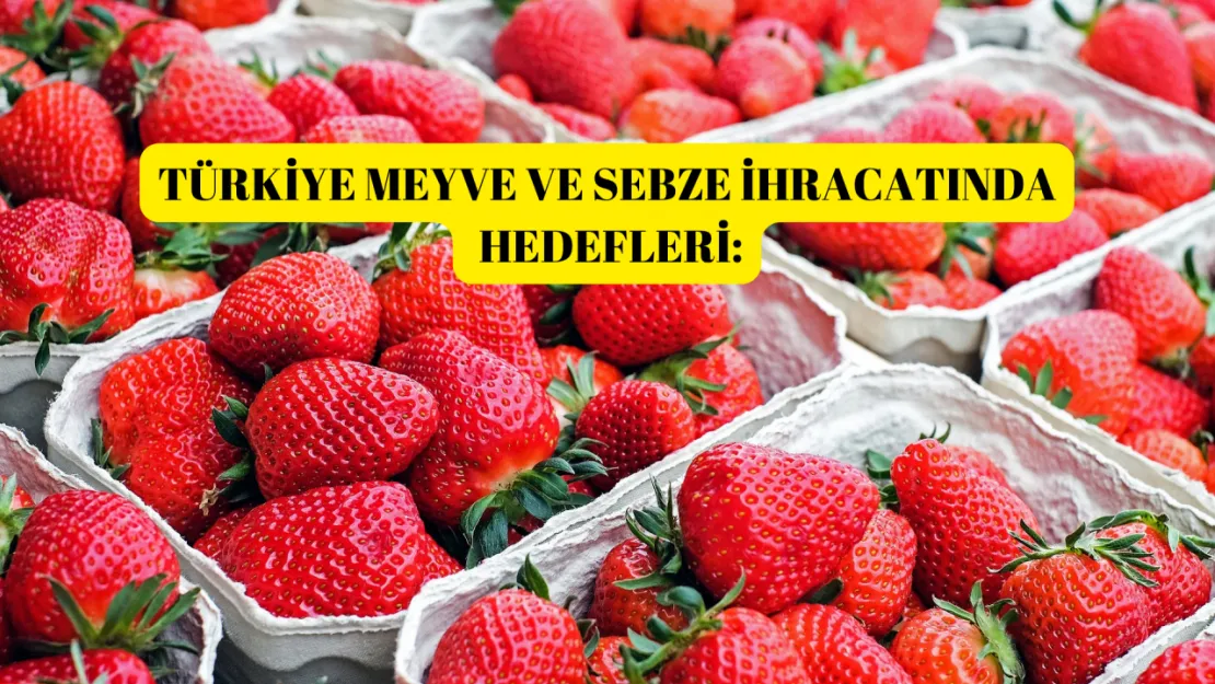 Türkiye, yaş meyve sebze ihracatında İstikrar merkezi olmayı amaçlıyor.