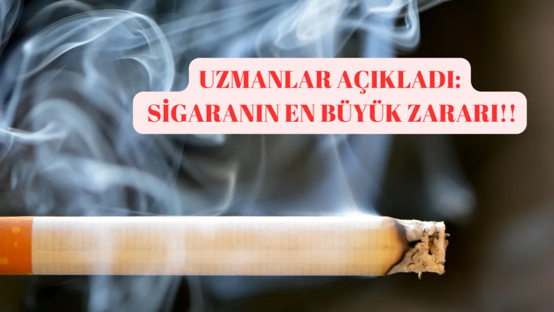 Uzmanlar açıkladı. Diş çekiminin ardından sakın sigara kullanmayın! Zararı dudak uçuklatır…