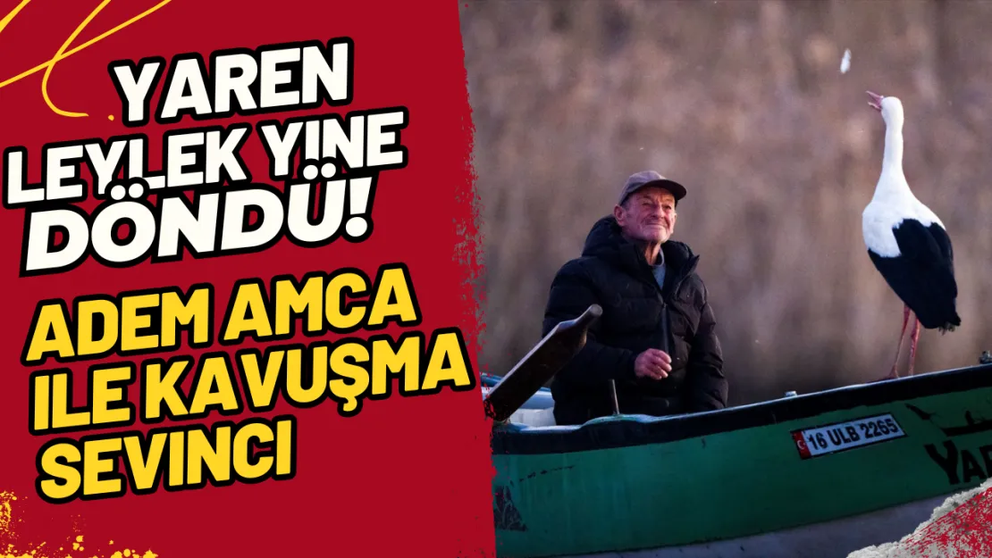 Yaren Leylek Yine Döndü! Adem Amca ile Kavuşma Sevinci