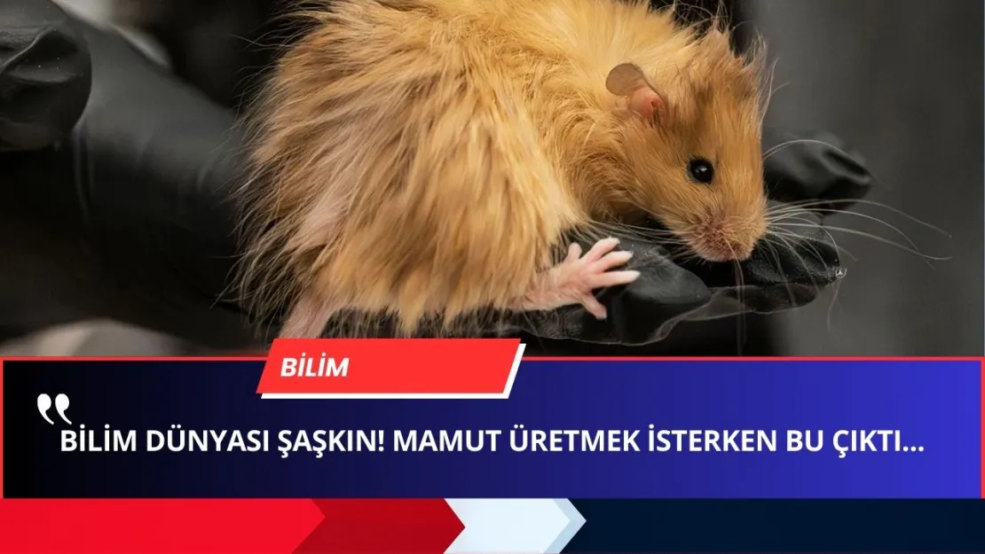 Yünlü MAMUT Beklerken TÜYLÜ FARE ÜRETİLDİ! Bilim Dünyası Karıştı!