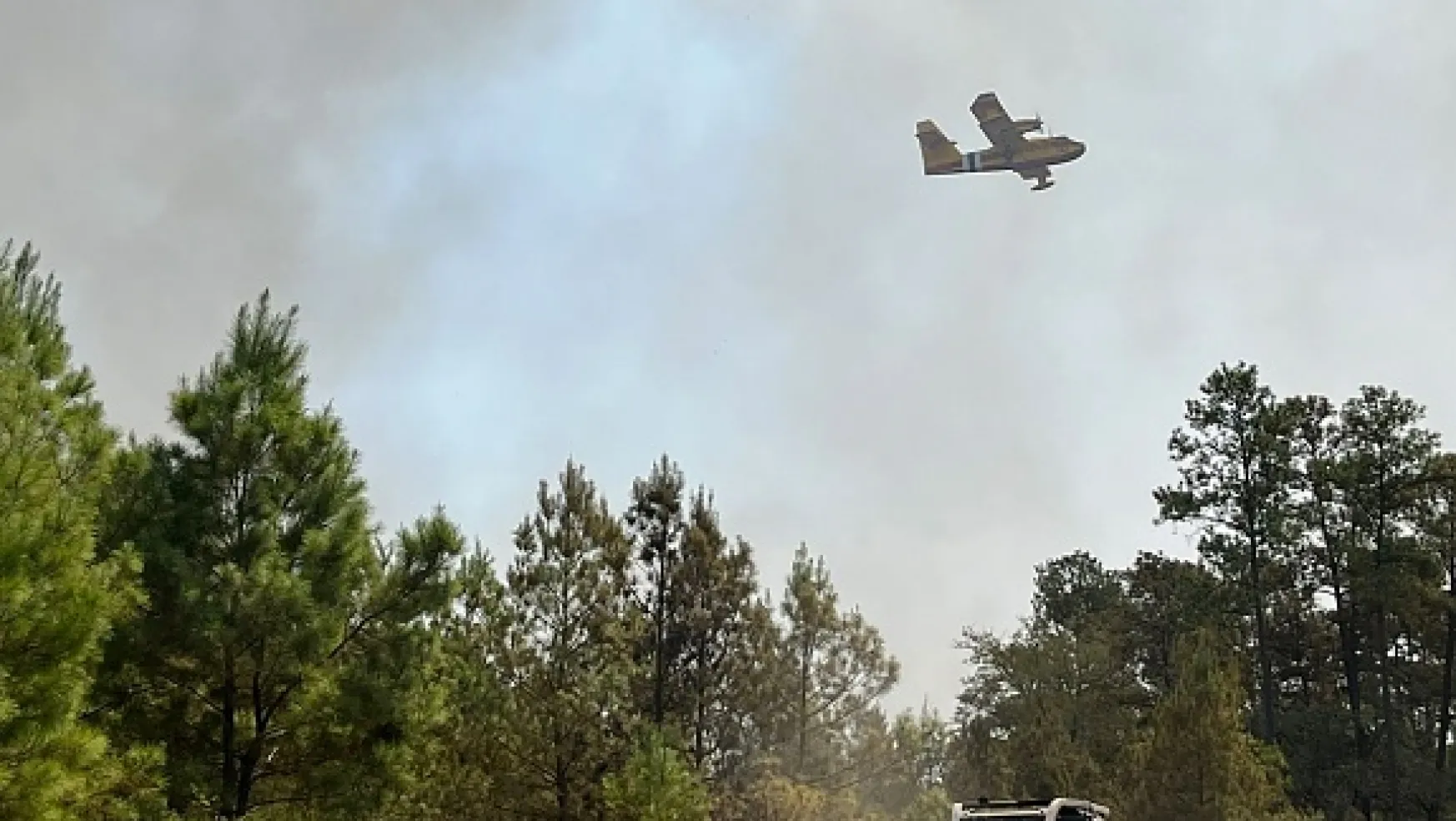 ABD'nin Texas Eyaletinde Büyük Orman Yangını