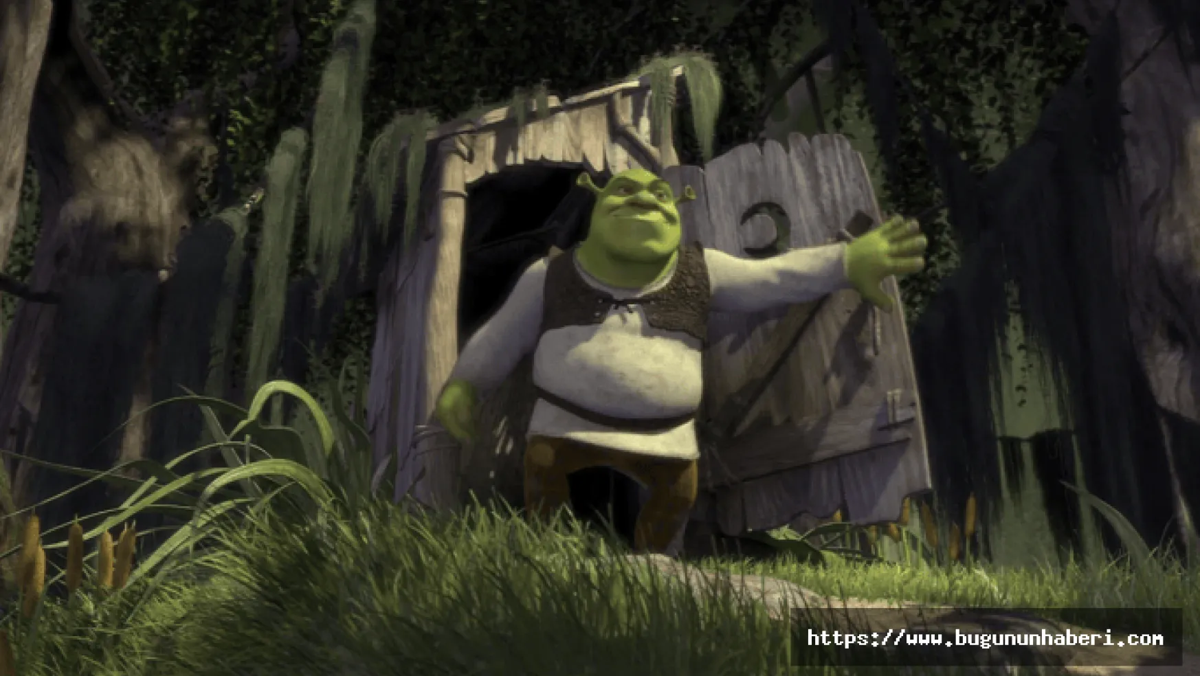 Shrek 5 filmi ne zaman yayınlanacak?